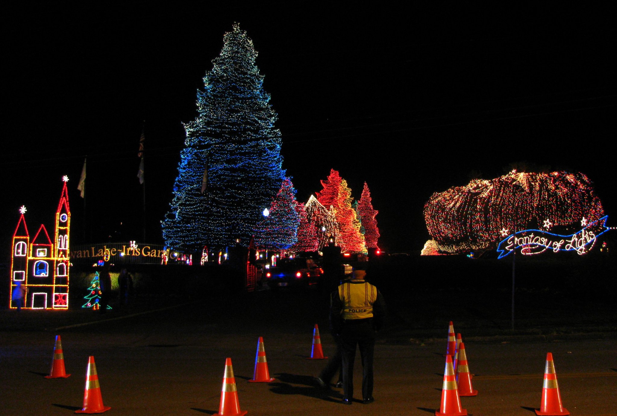 Swan Lake Christmas Lights 